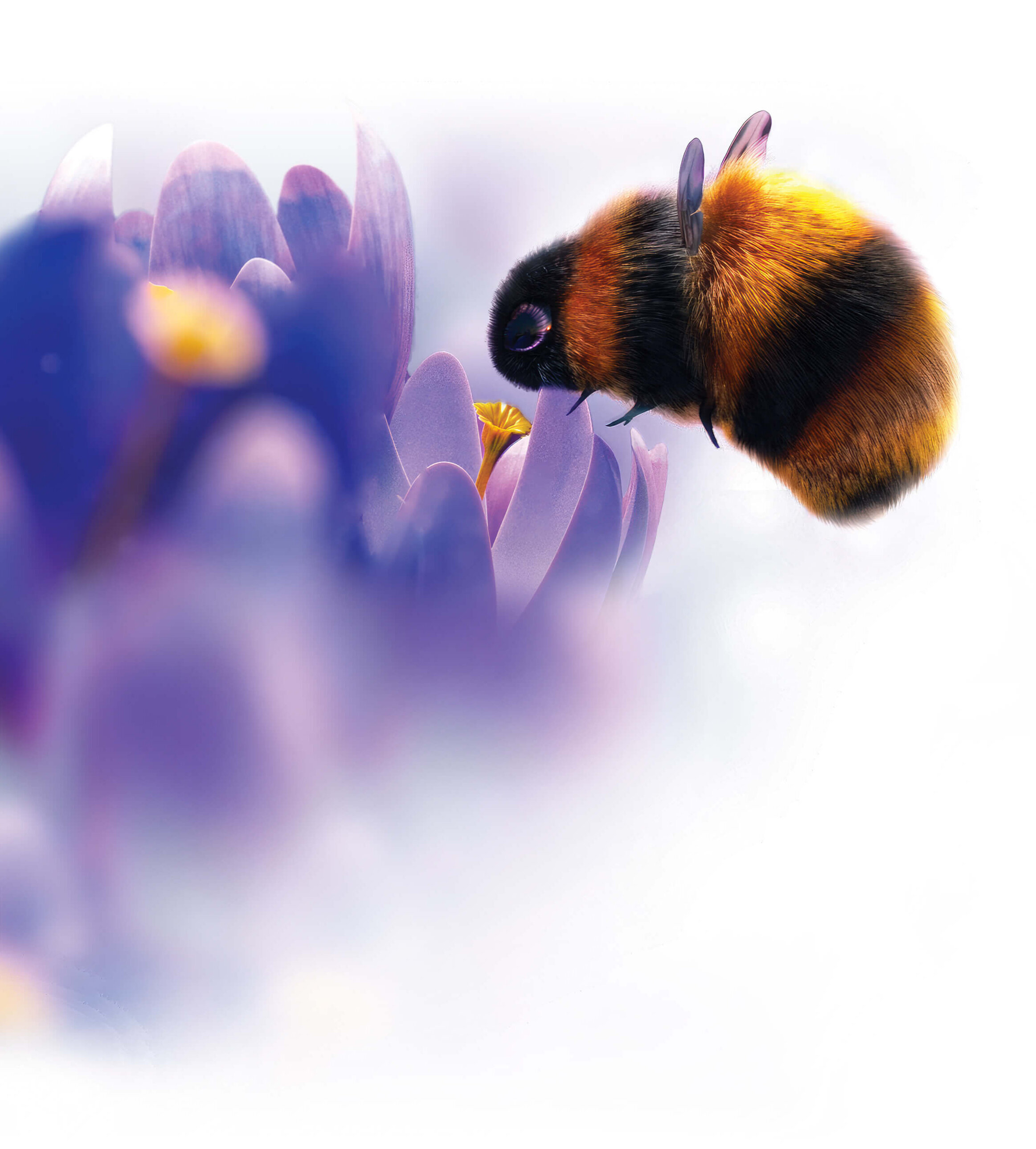 Realistically rendered 3D model of a fluffy bumblebee feeding from a stylized violet-purple flower. The image features a soft, bright aesthetic with a light blur effect in the foreground.